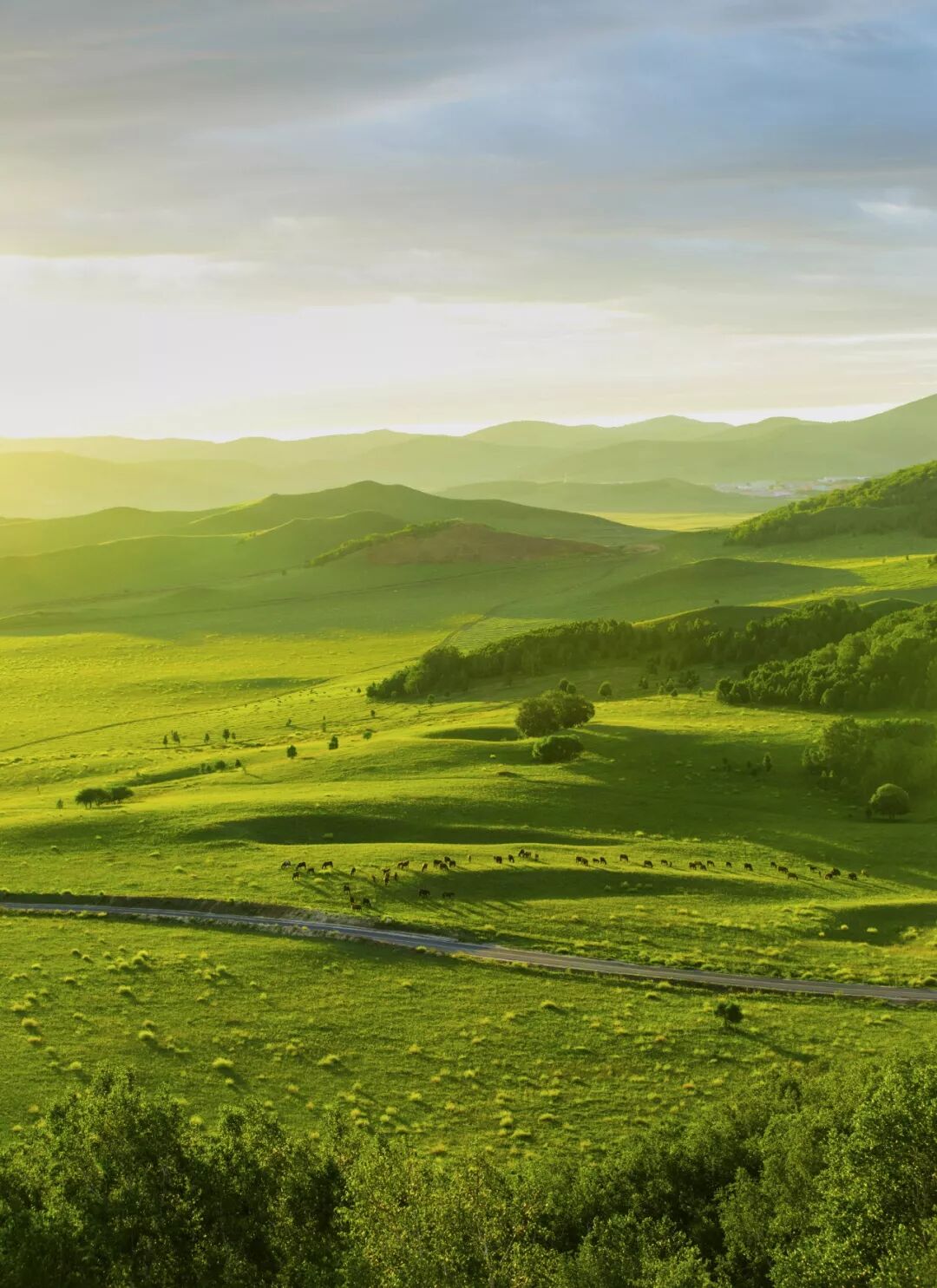 Image related to Who is the Top of China's Grasslands?