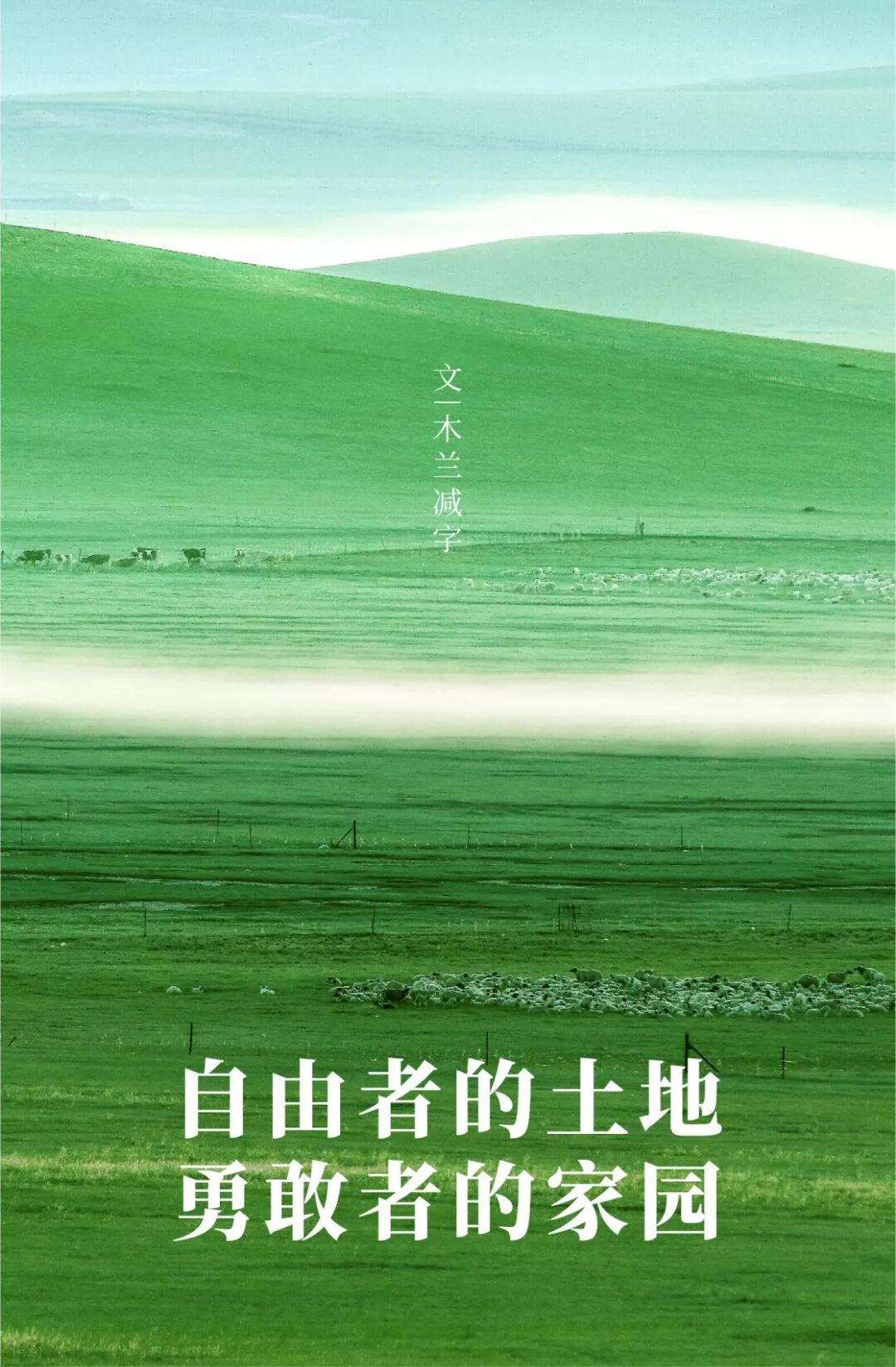 Who is the Top of China's Grasslands?