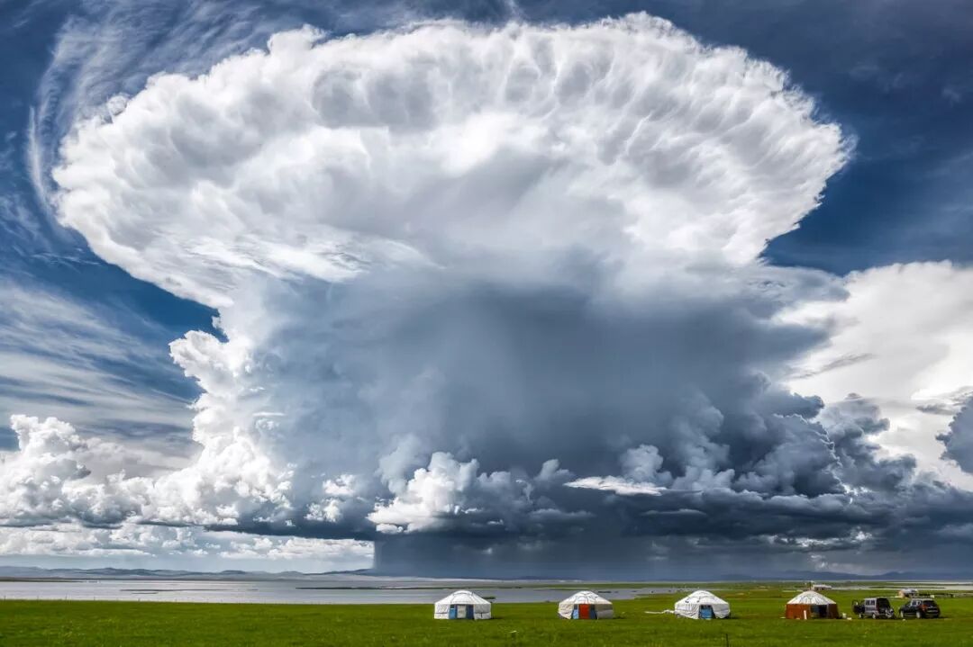 Image related to Who is the Top of China's Grasslands?