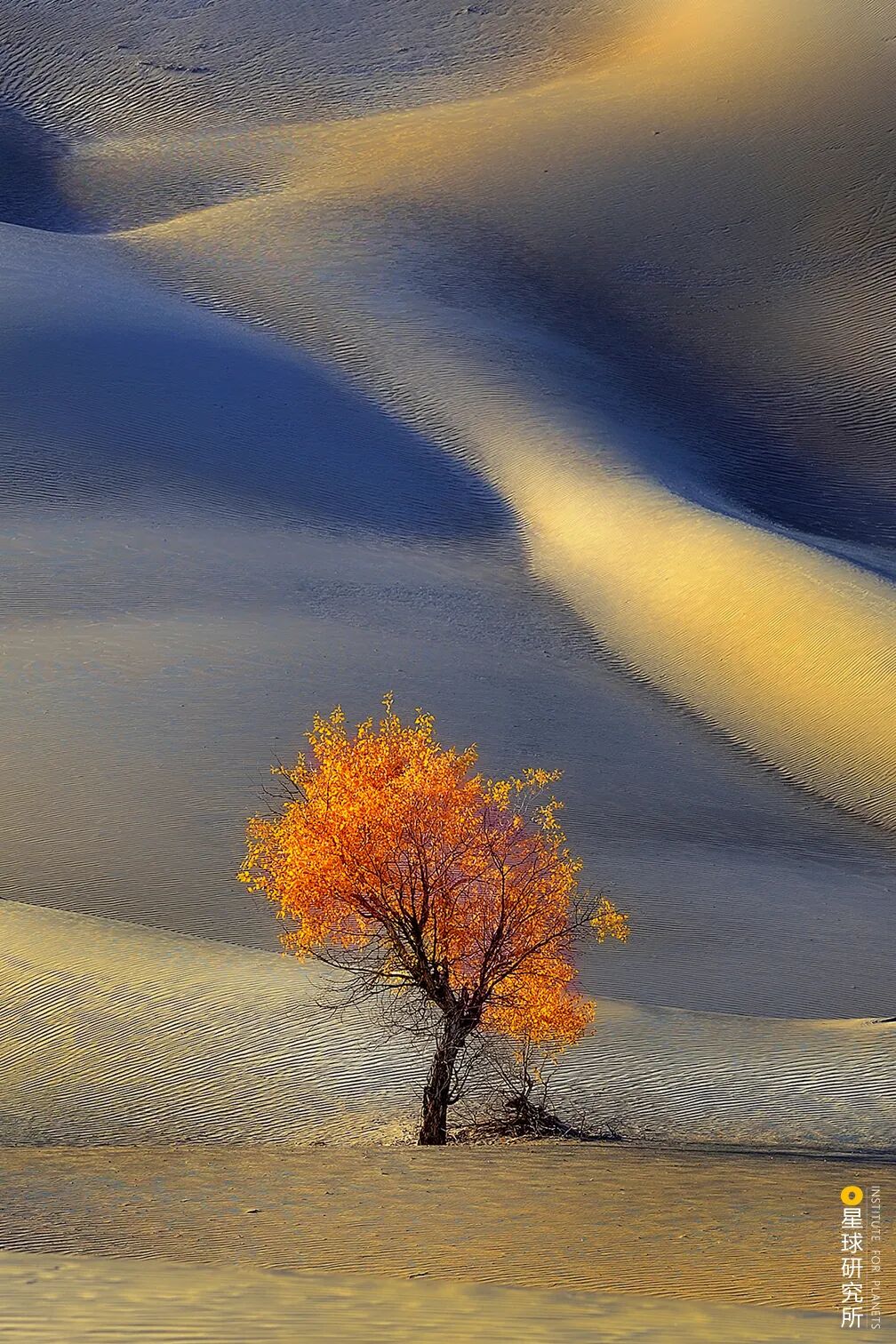 Image related to Special Feature: Journey to 331, Across China's Northern Frontier!