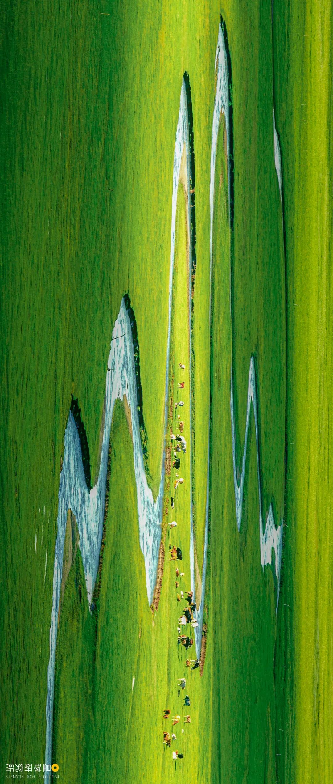 Image related to Special Feature: Journey to 331, Across China's Northern Frontier!