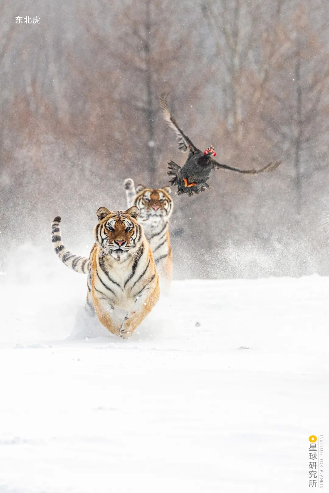Image related to Special Feature: Journey to 331, Across China's Northern Frontier!