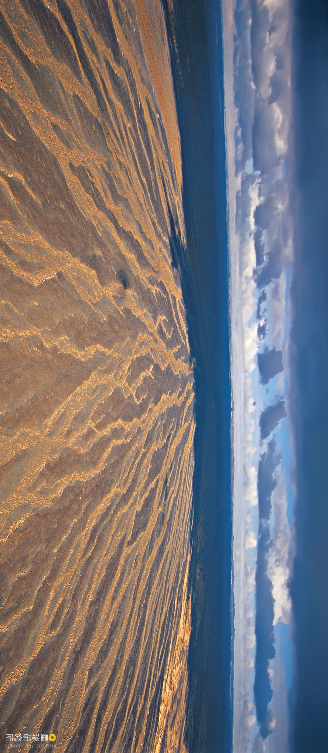 Image related to Special Feature: Journey to 331, Across China's Northern Frontier!