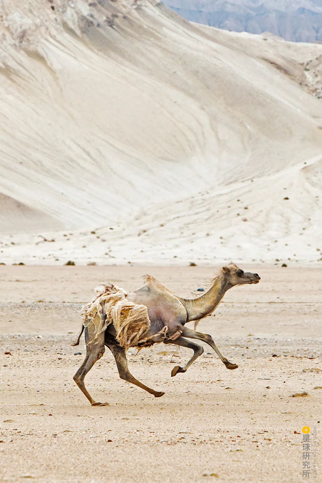 Image related to Special Feature: Journey to 331, Across China's Northern Frontier!