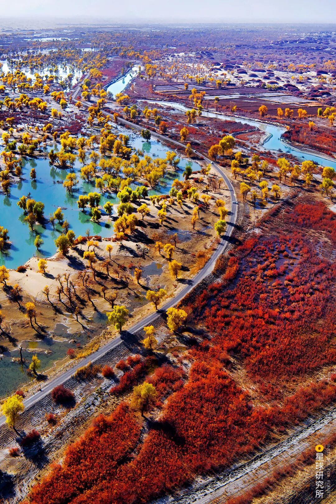 Image related to China's Vast 12 Percent