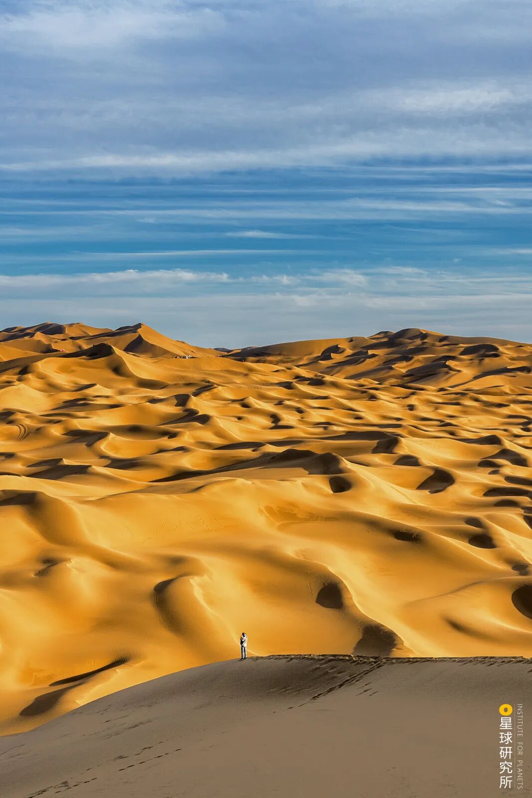 Image related to China's Vast 12 Percent