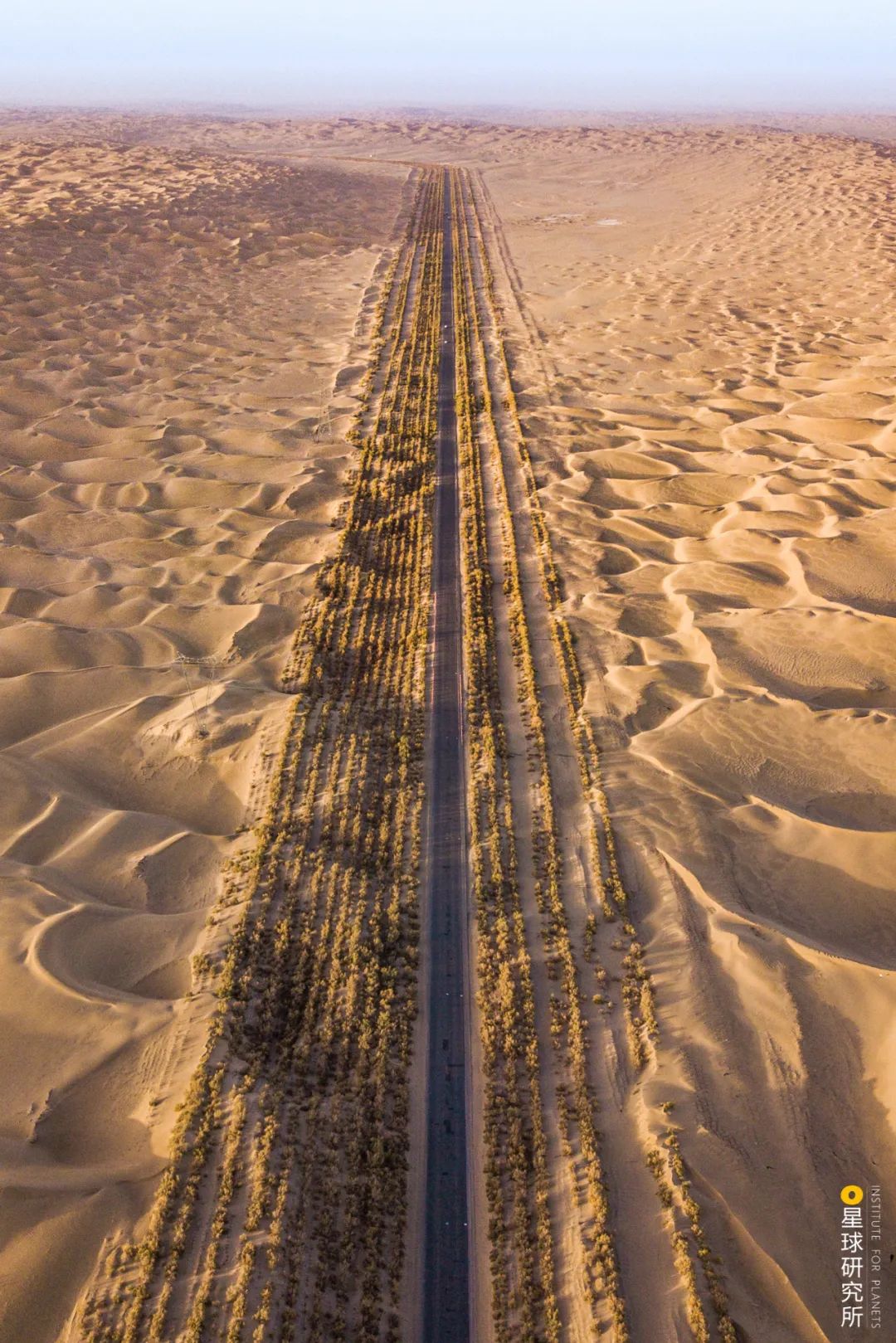 Image related to China's Vast 12 Percent