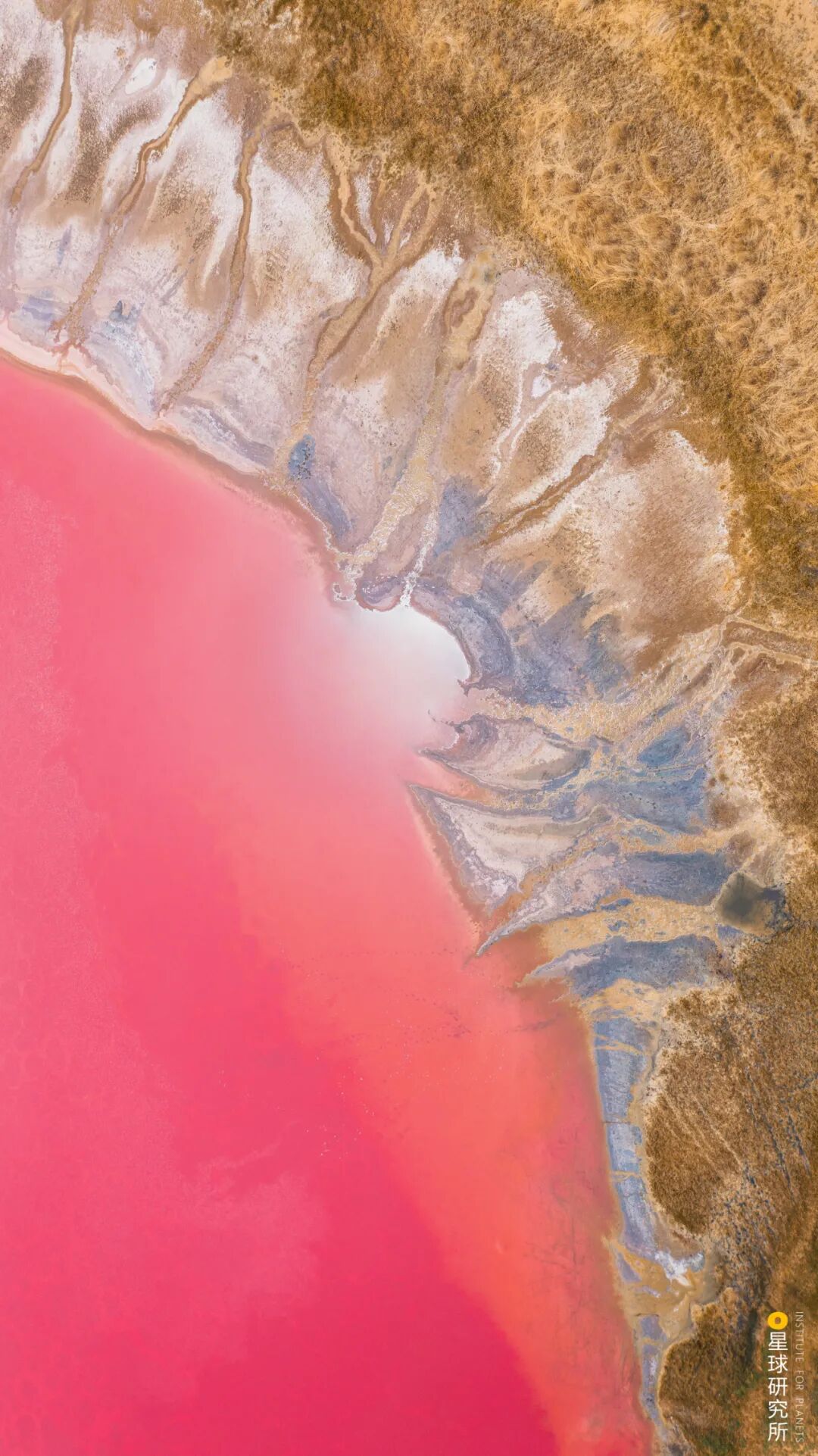 Image related to China's Vast 12 Percent