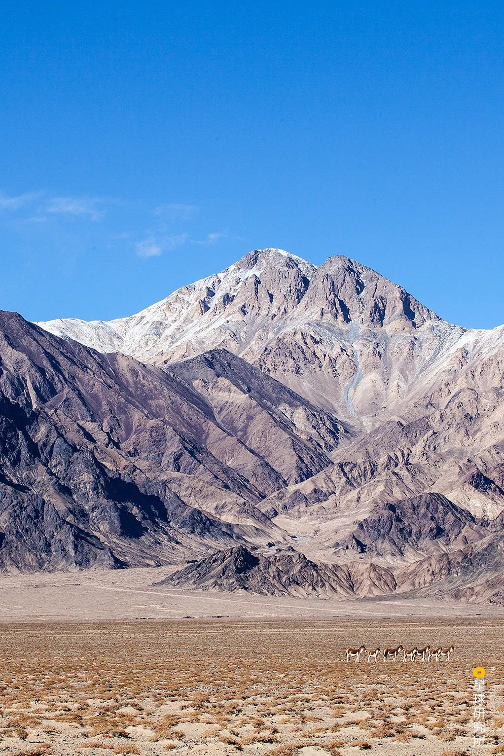 Image related to China's Vast 12 Percent