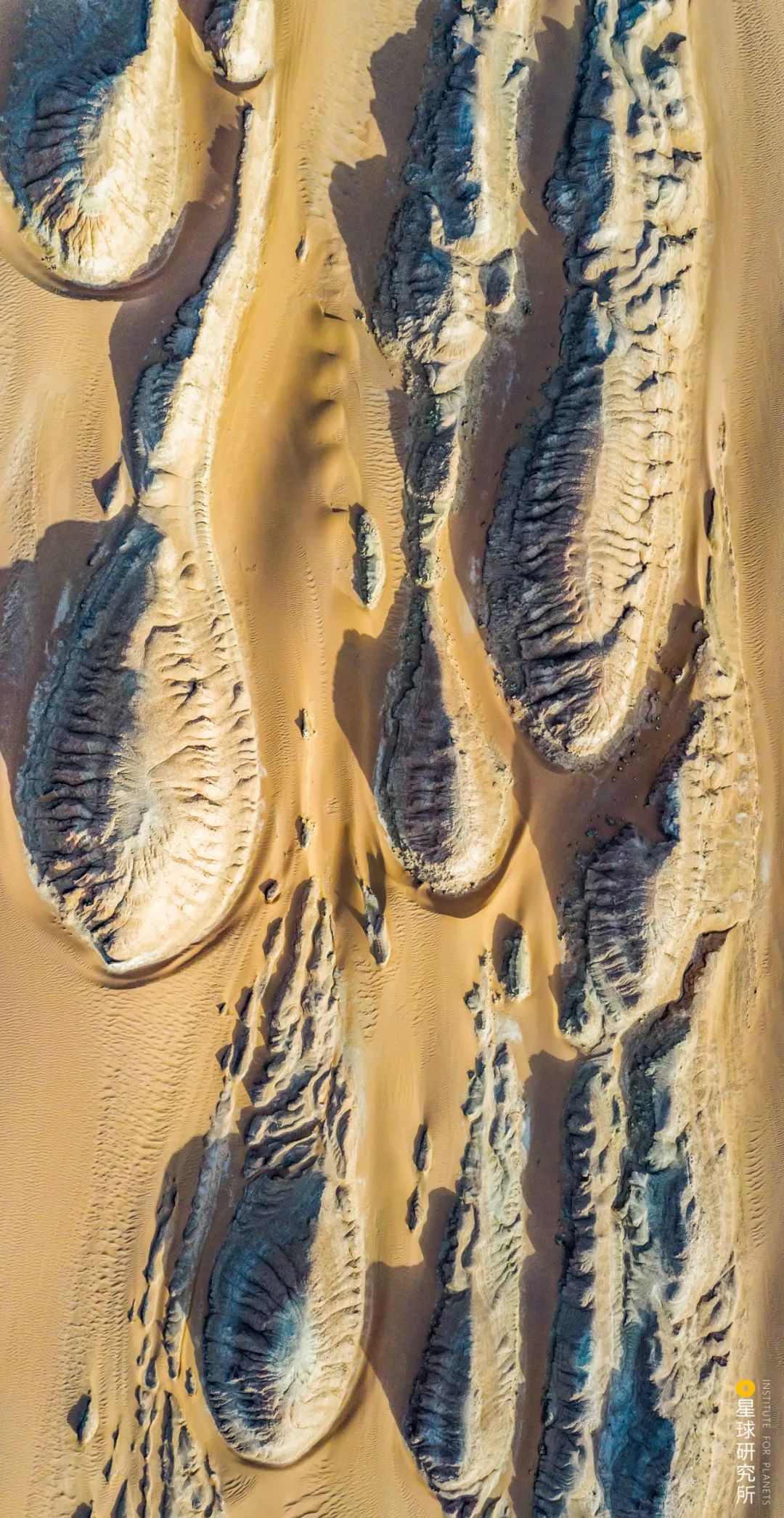 Image related to China's Vast 12 Percent