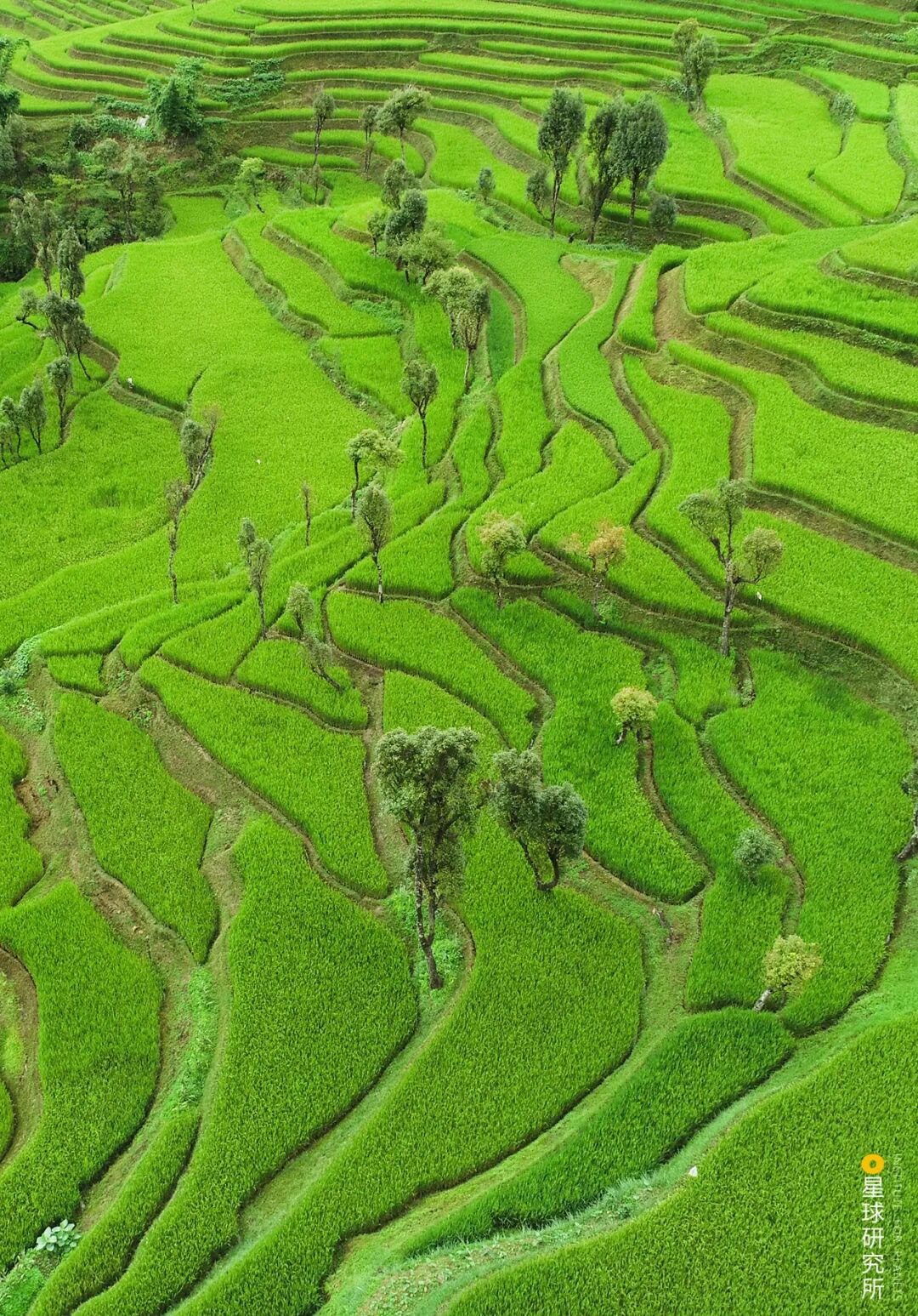 Image related to How Many Breathtaking Landscapes Does Honghe, Yunnan Hold?