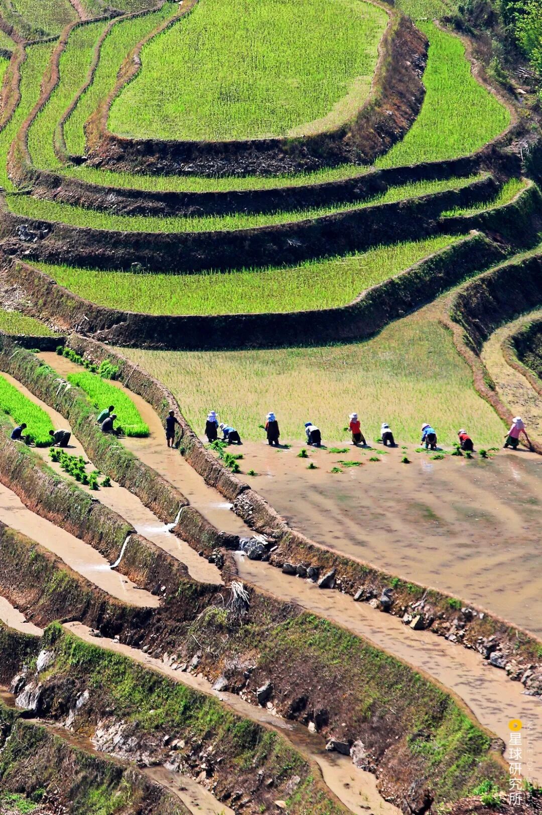 Image related to How Many Breathtaking Landscapes Does Honghe, Yunnan Hold?