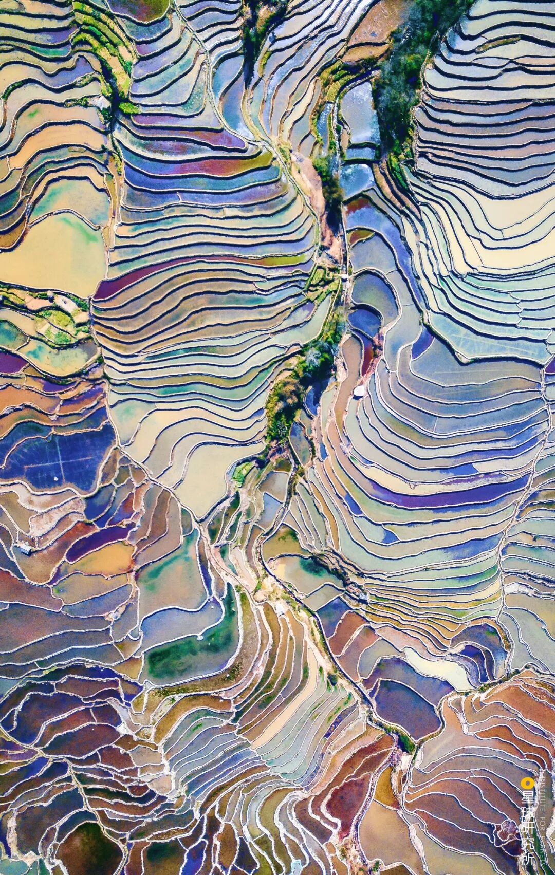 Image related to How Many Breathtaking Landscapes Does Honghe, Yunnan Hold?