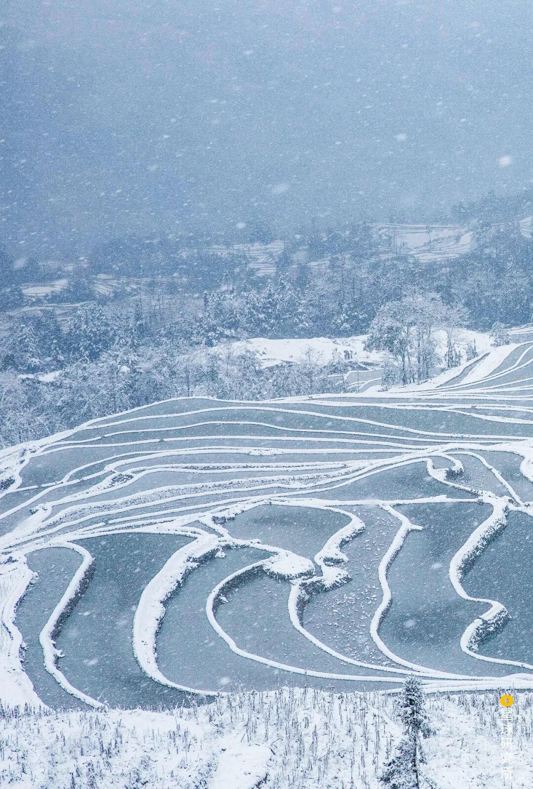 Image related to How Many Breathtaking Landscapes Does Honghe, Yunnan Hold?