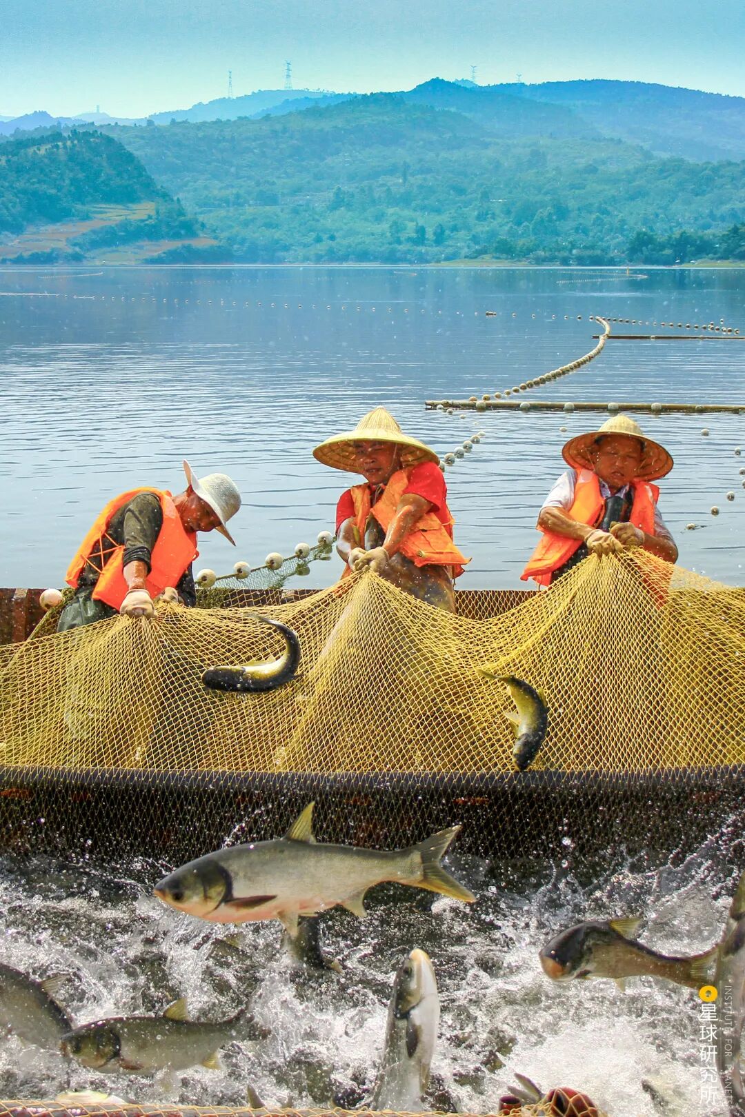 Image related to Chengdu, New and Now