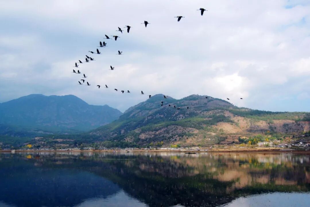 Image related to What Is Lijiang?