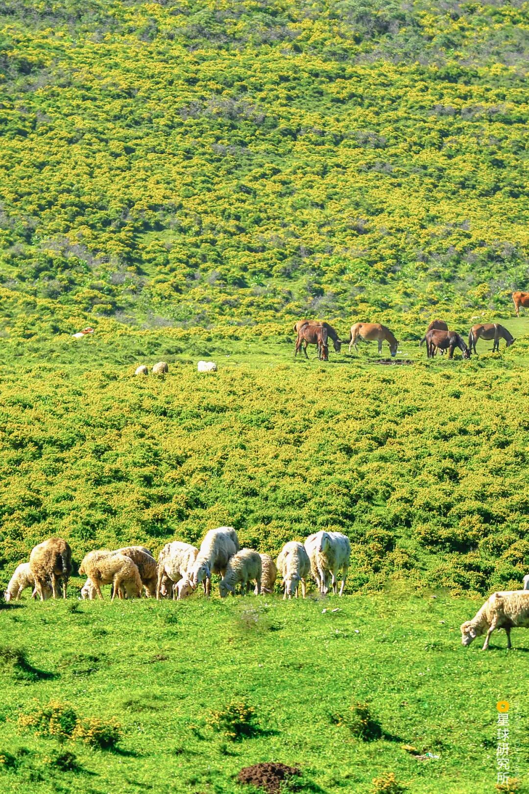 Image related to How Many Spectacular Landscapes Does Linxia, Gansu Offer?