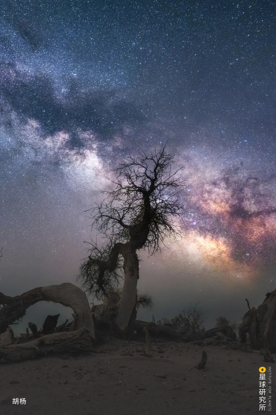 Image related to Special Feature: Journey to 331, Across China's Northern Frontier!