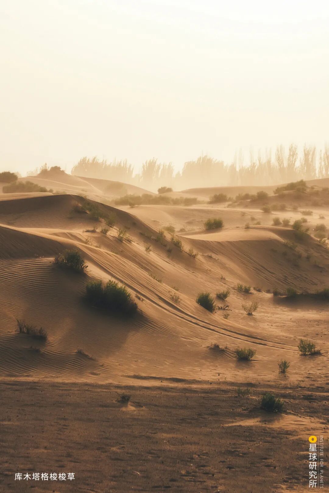 Image related to Special Feature: Journey to 331, Across China's Northern Frontier!