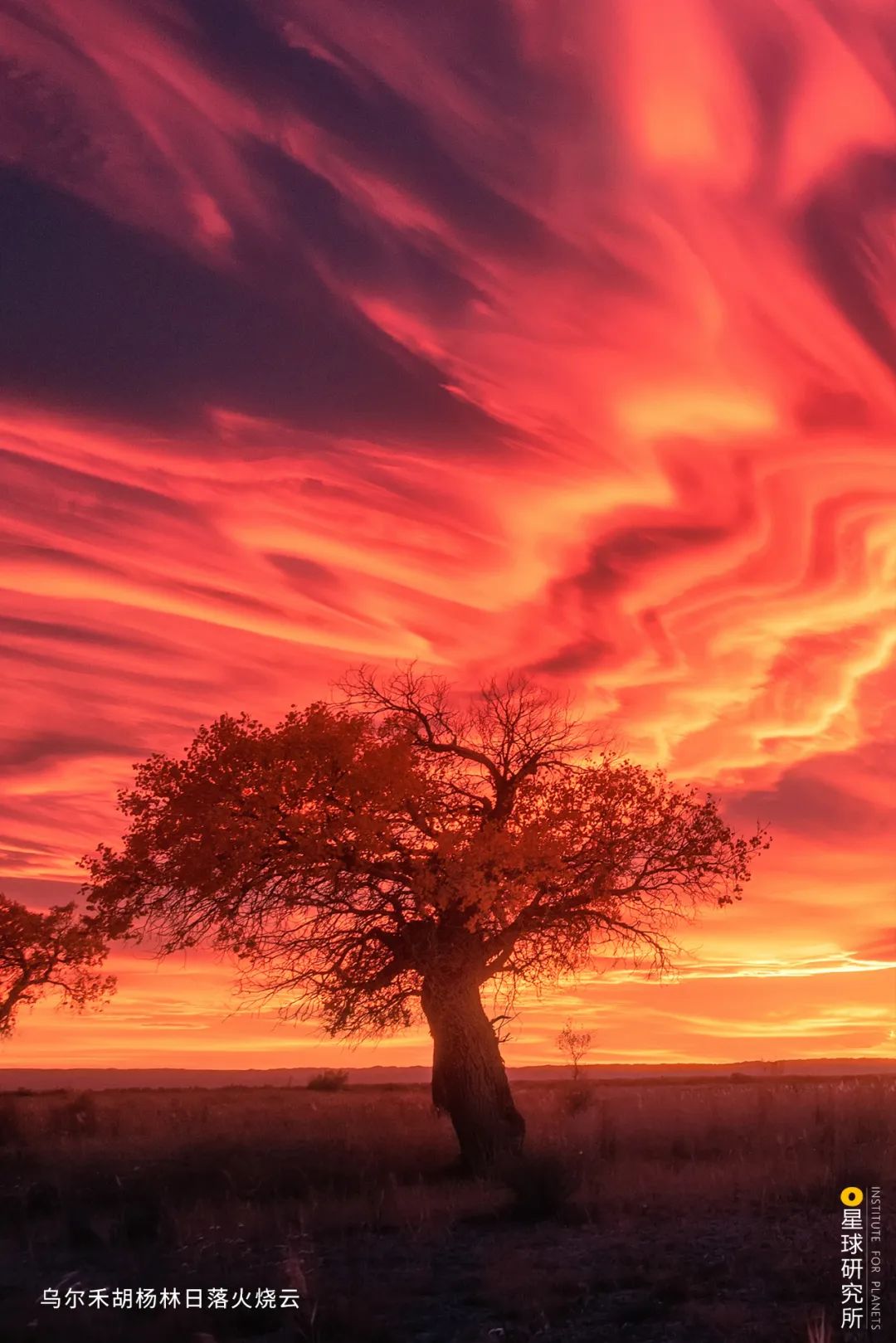 Image related to Special Feature: Journey to 331, Across China's Northern Frontier!