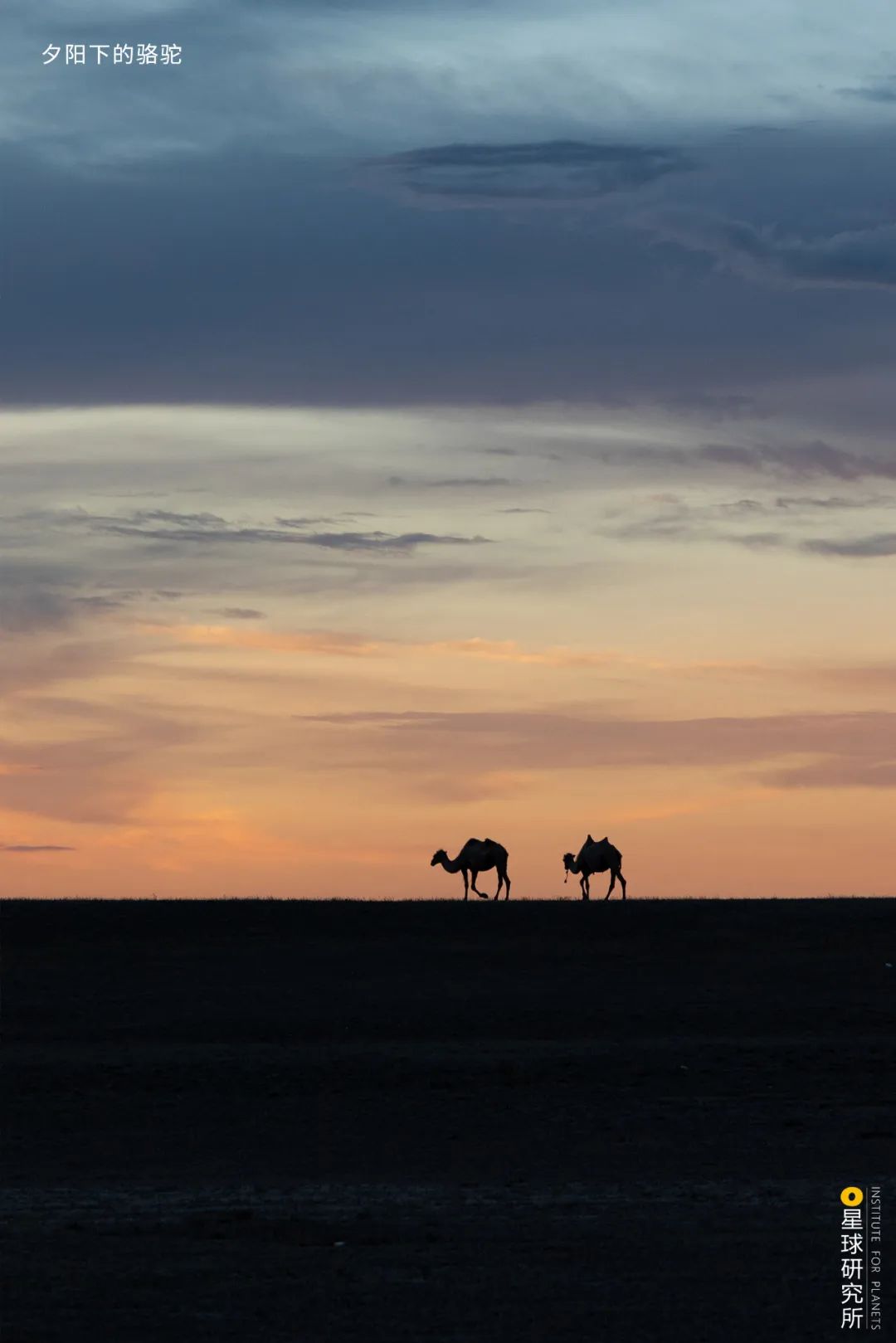 Image related to Special Feature: Journey to 331, Across China's Northern Frontier!