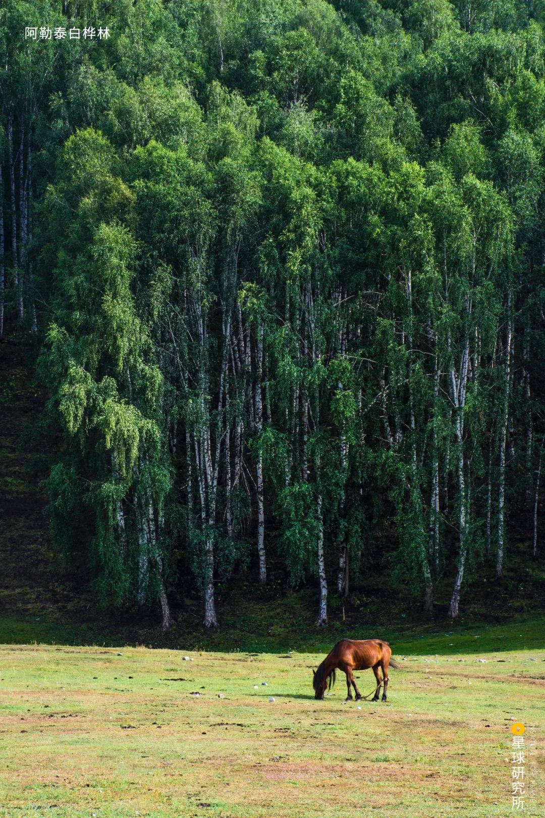 Image related to Special Feature: Journey to 331, Across China's Northern Frontier!