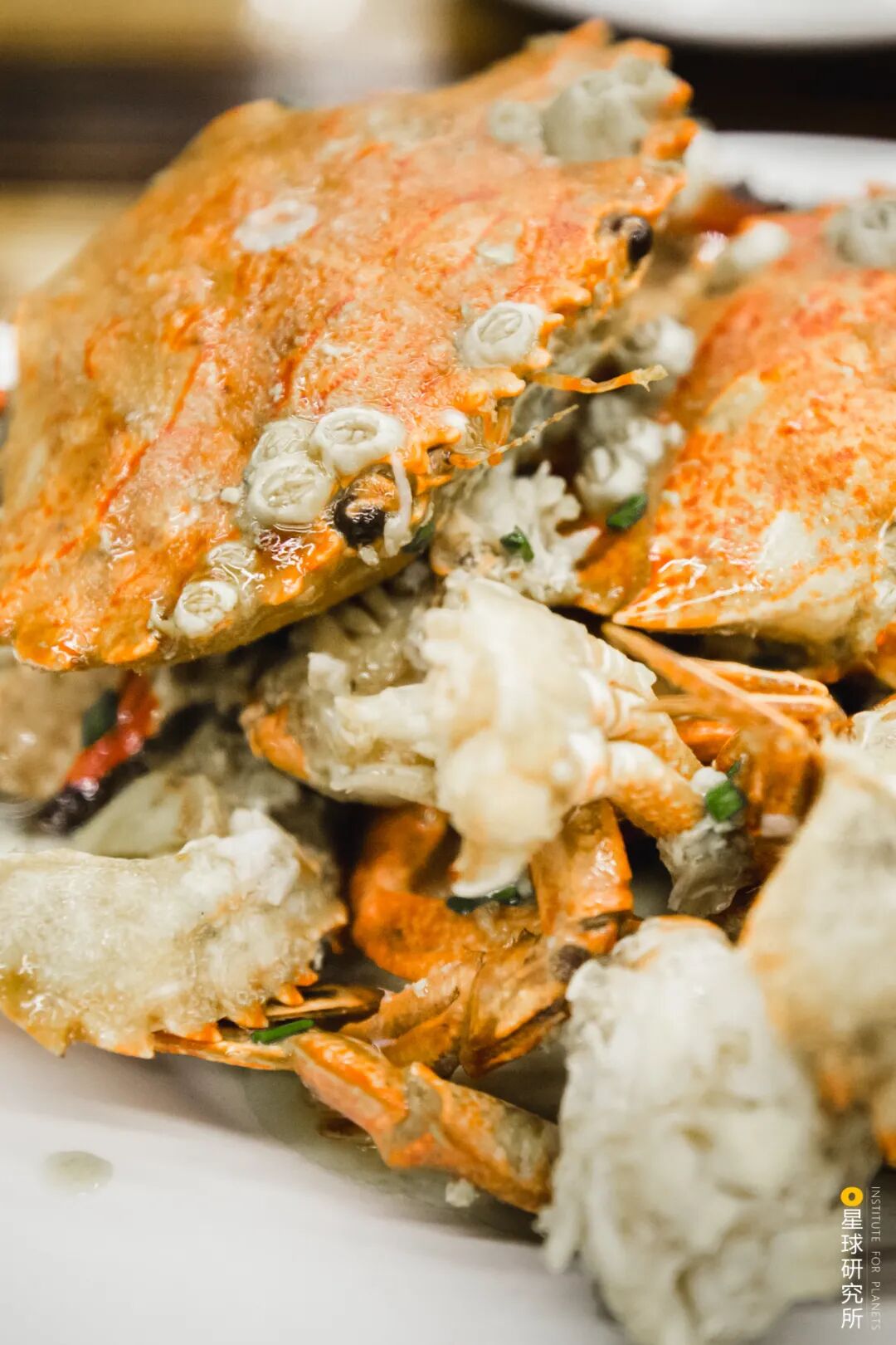 Image related to Beihai: The Unexpected Side of Guangxi