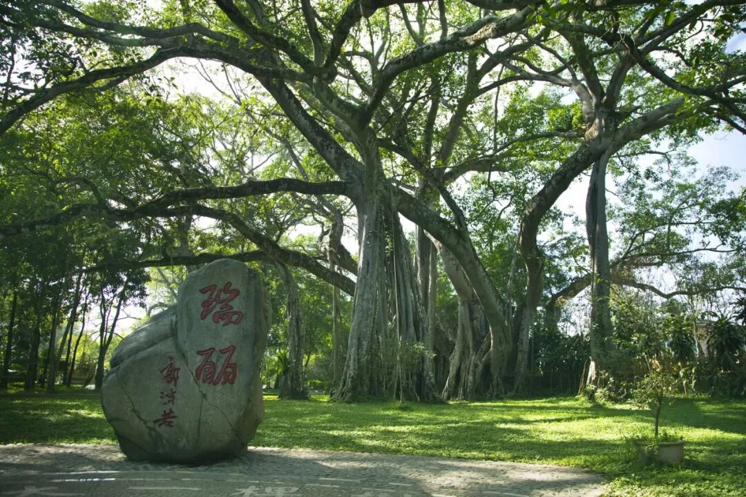 Image related to What is Yunnan?