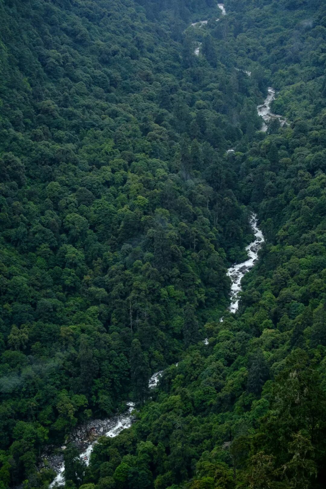Image related to What is Yunnan?