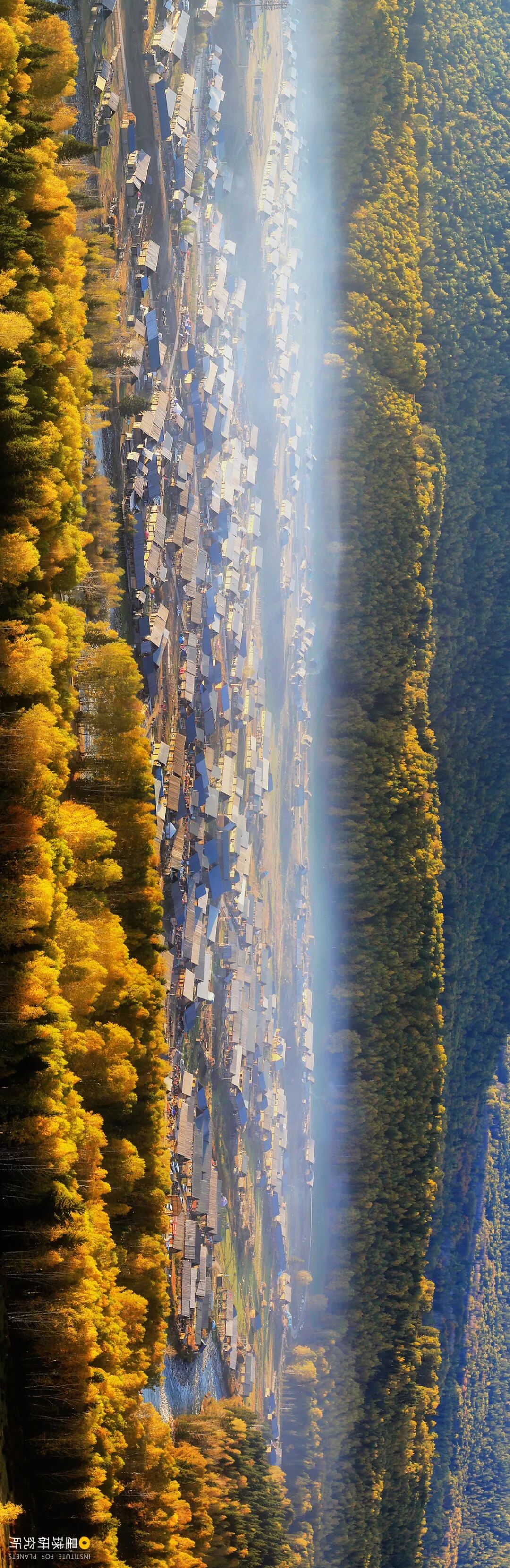 Image related to This Autumn, Head to Northern Xinjiang!