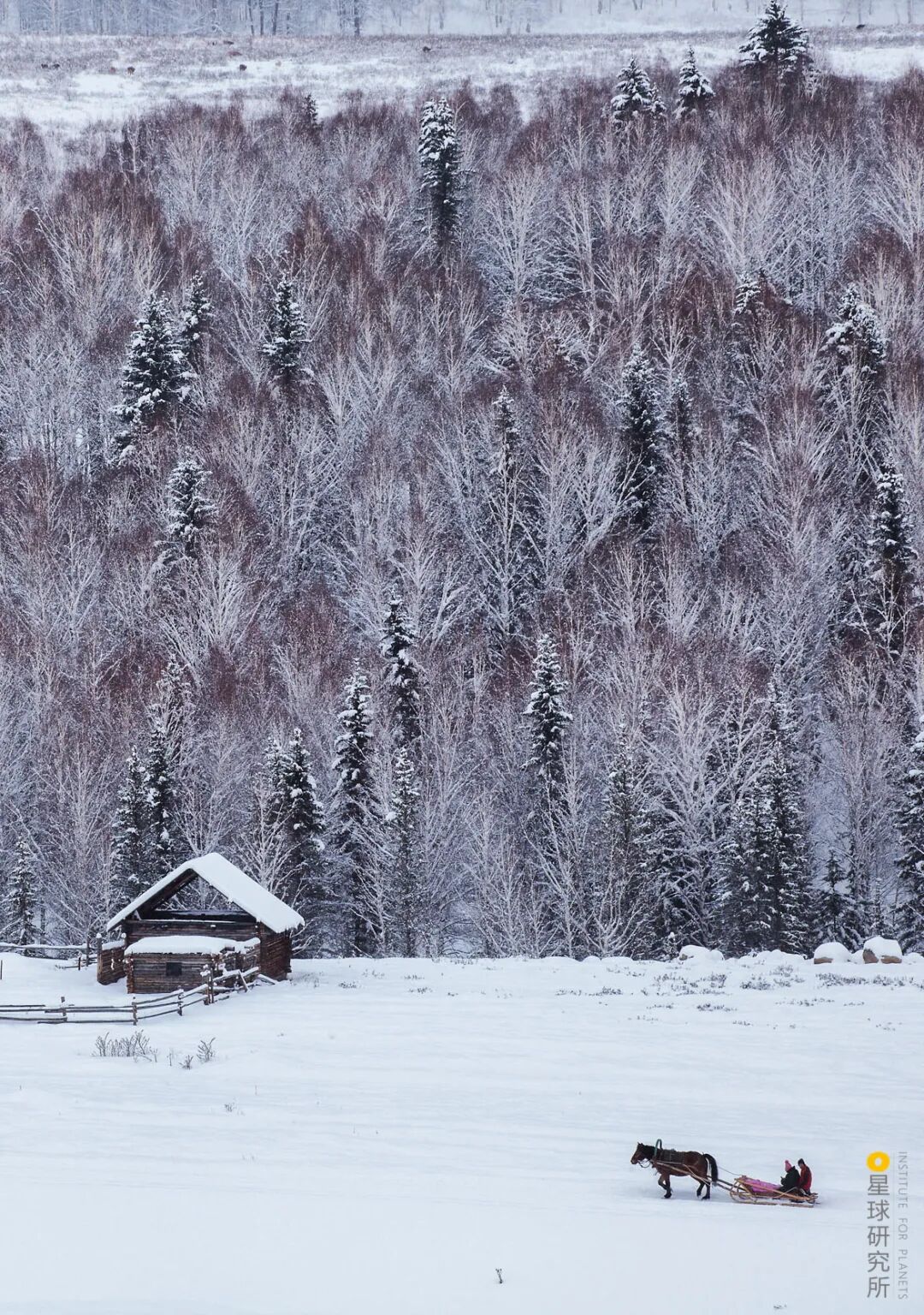 Image related to This Autumn, Head to Northern Xinjiang!