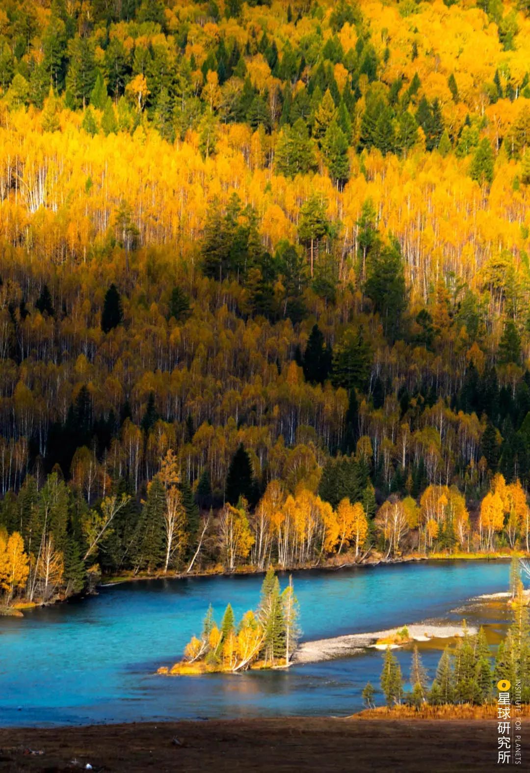 Image related to This Autumn, Head to Northern Xinjiang!