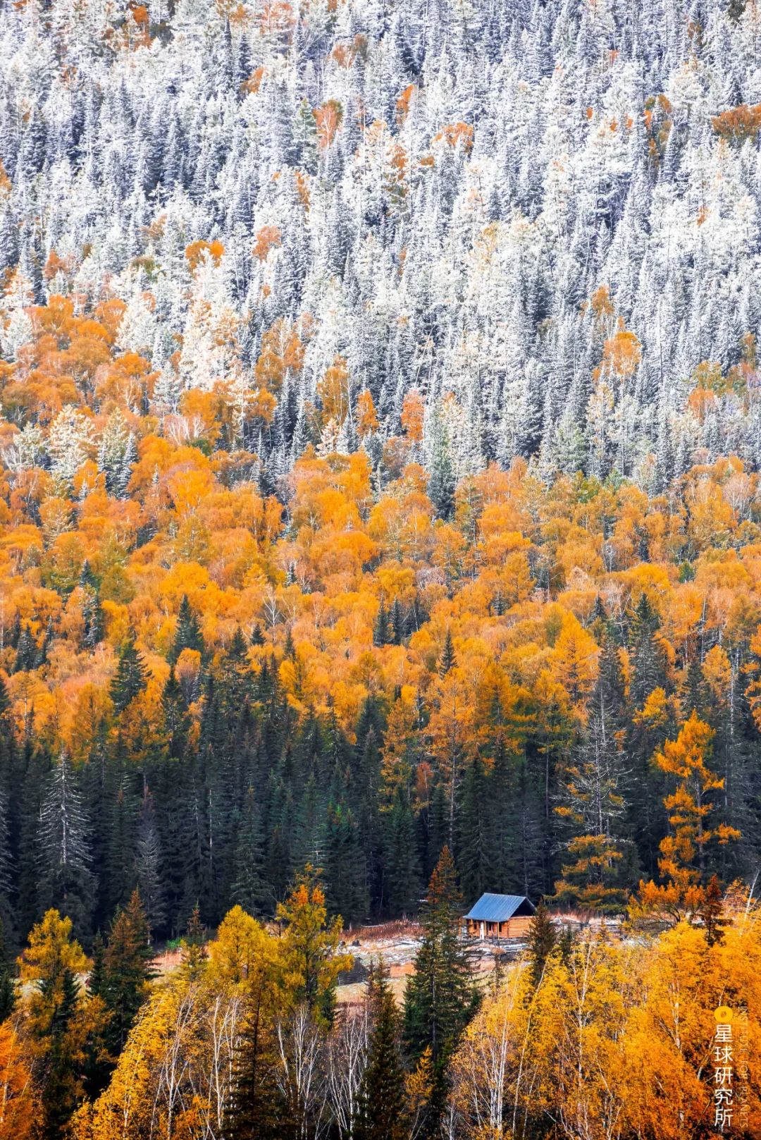Image related to This Autumn, Head to Northern Xinjiang!