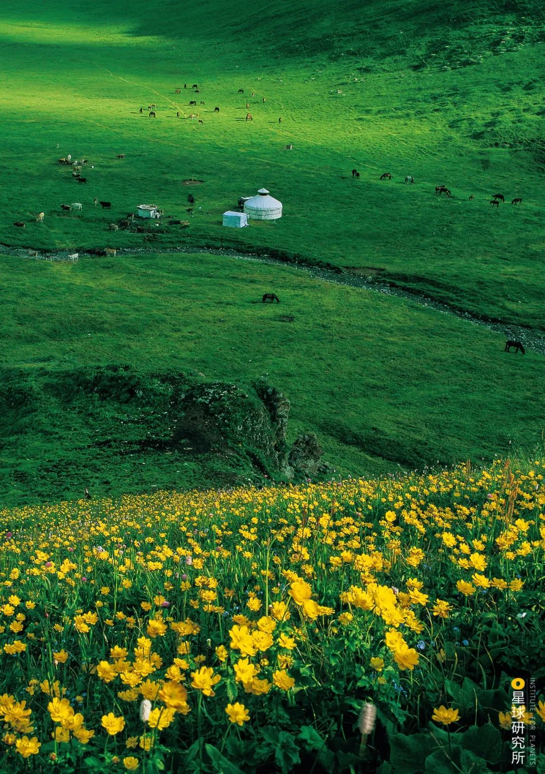 Image related to This Autumn, Head to Northern Xinjiang!