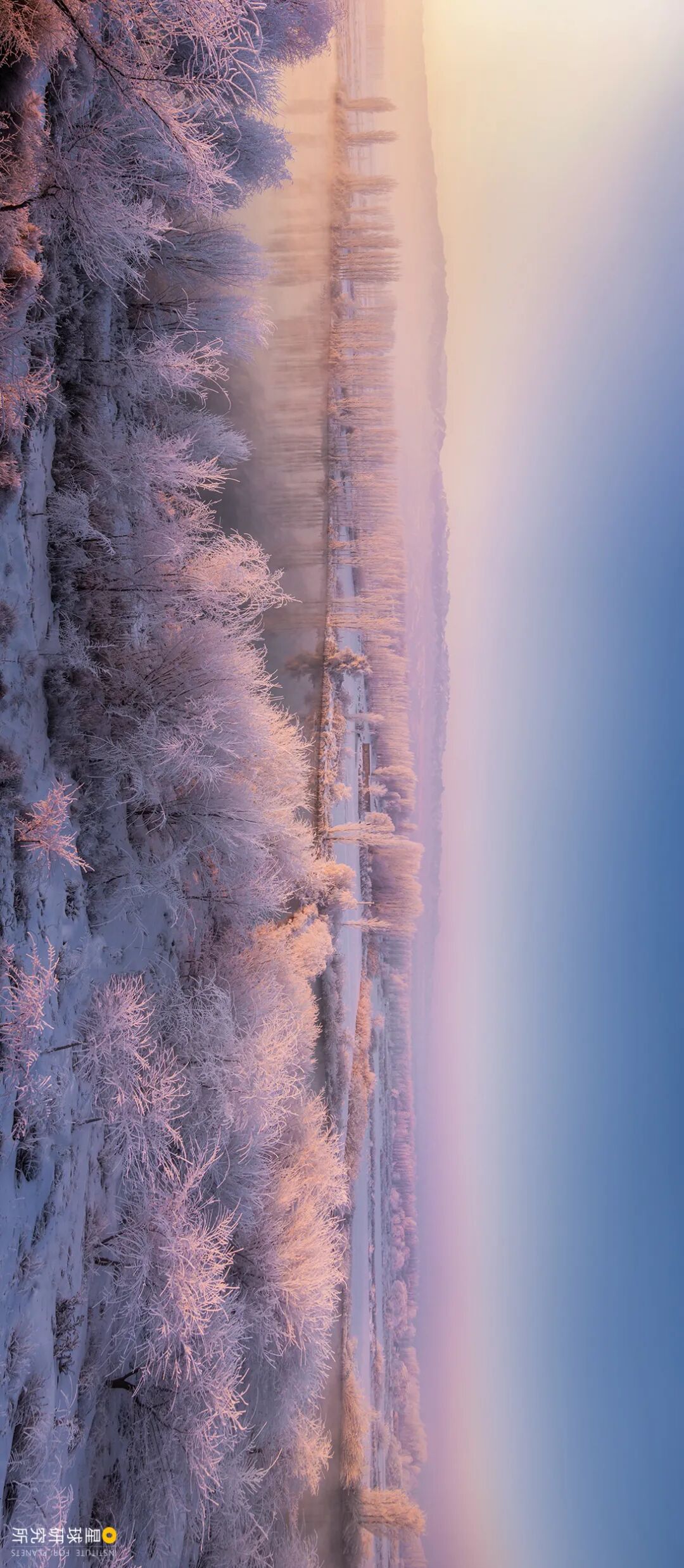Image related to This Autumn, Head to Northern Xinjiang!