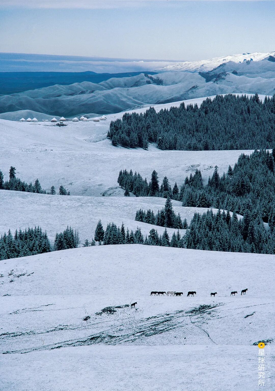 Image related to This Autumn, Head to Northern Xinjiang!