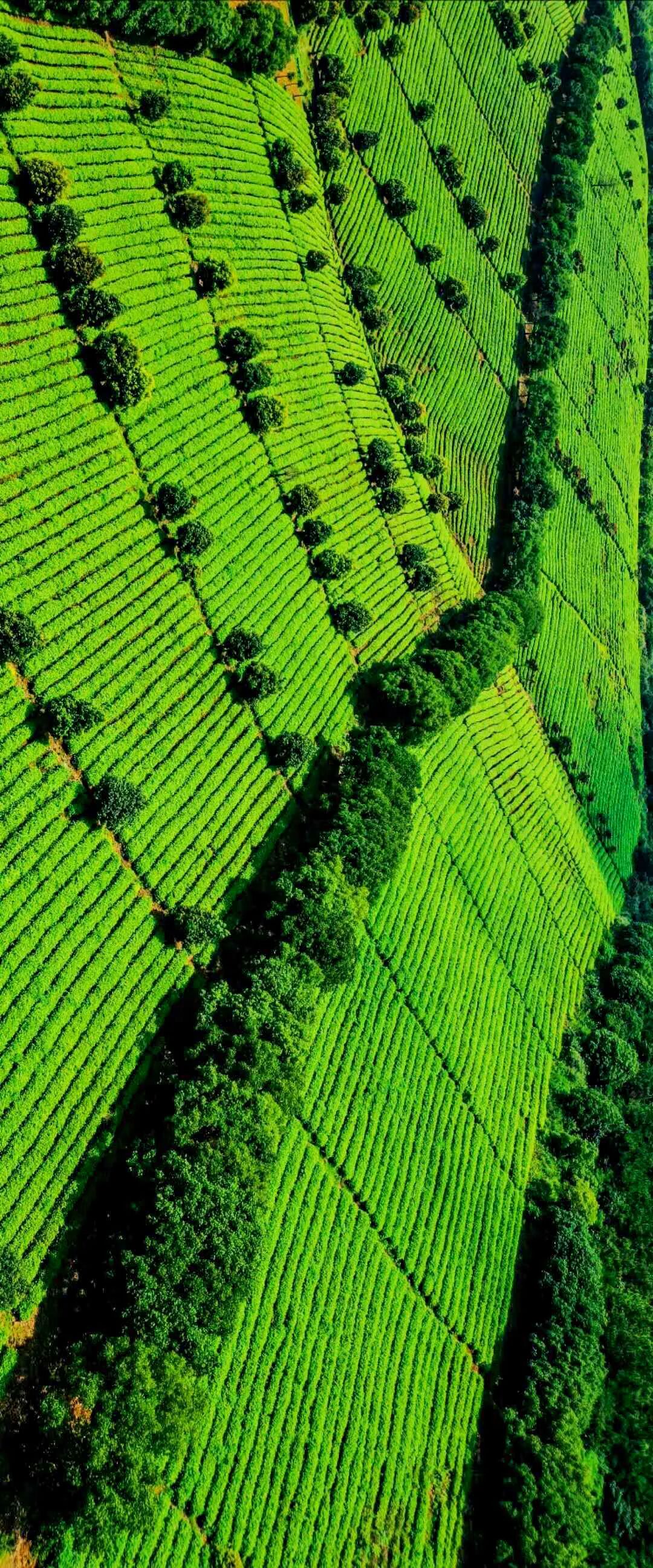 Image related to Why Liyang, Jiangsu Is Worth a Visit