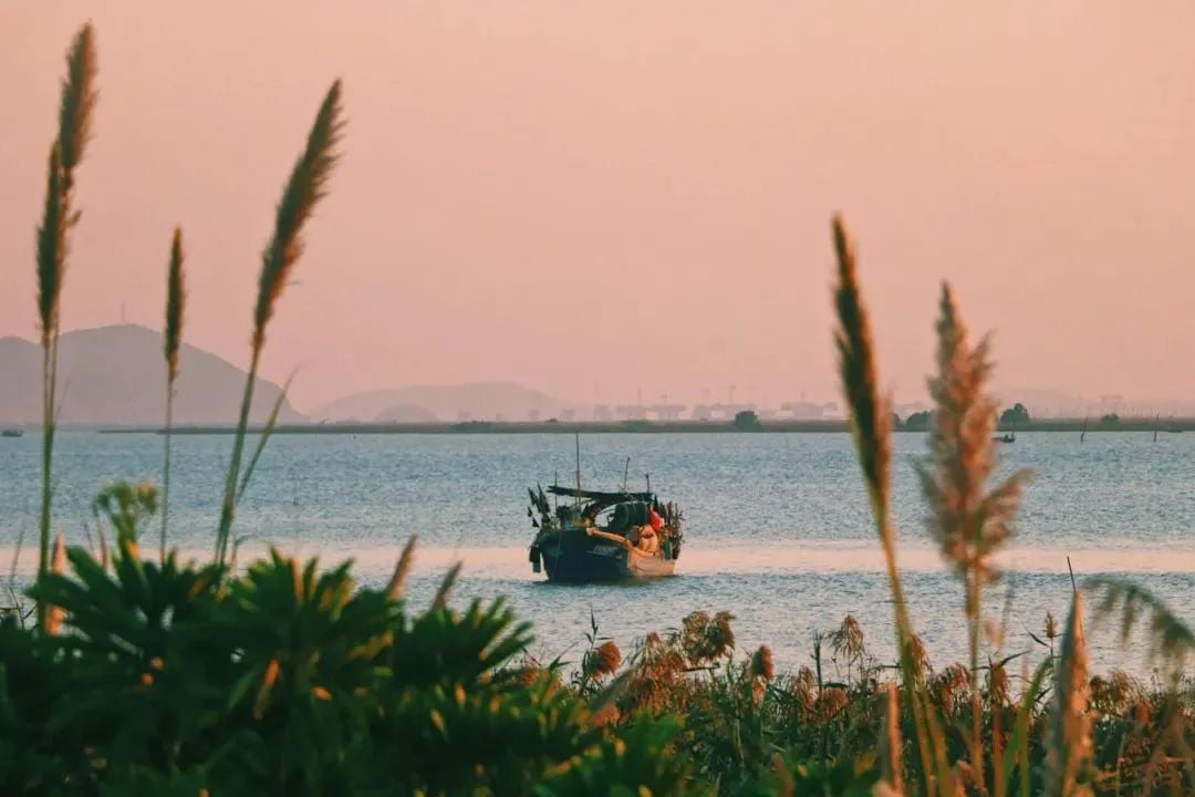Hengqin Island in Zhuhai: A Dreamier Escape Than Disneyland! Hot Springs Amidst Flower Fields and Ocean Parks—Endless Fun in One Trip