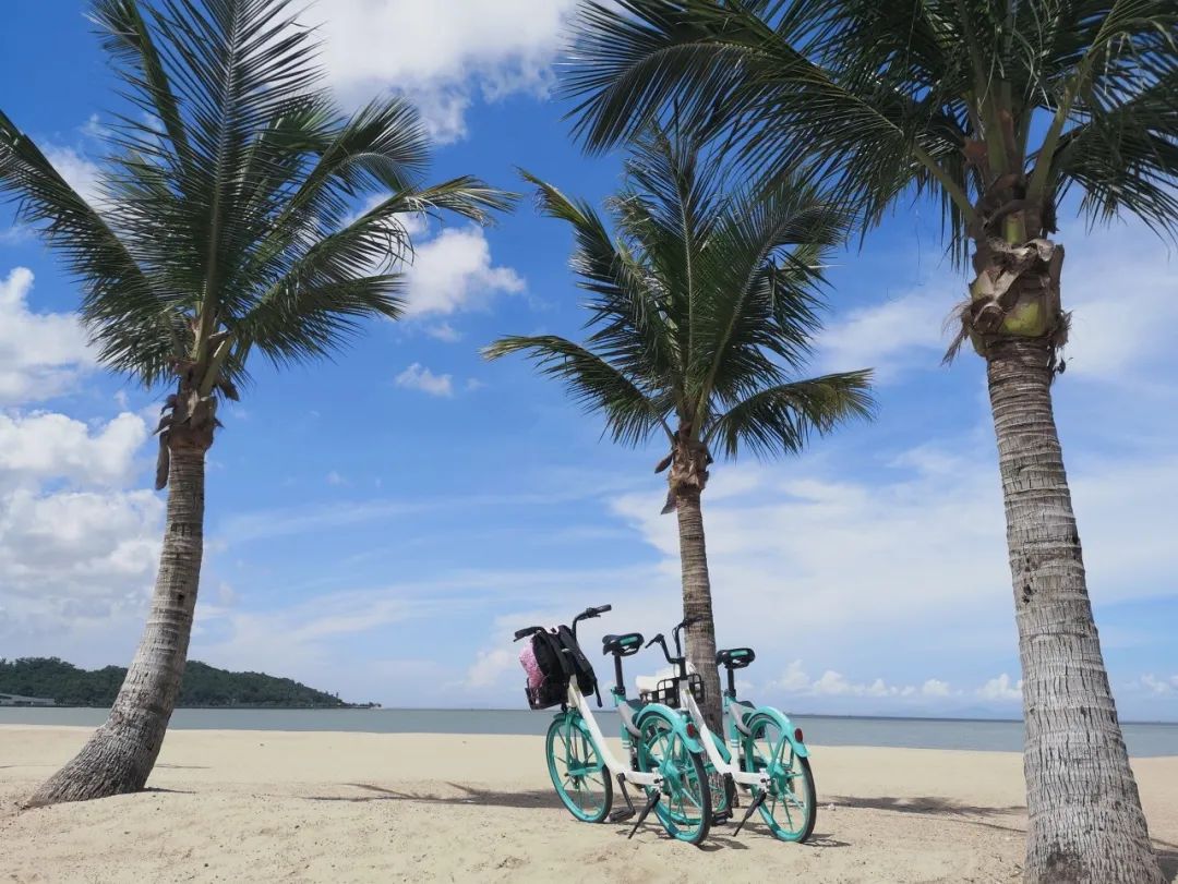 Image related to Hengqin Island in Zhuhai: A Dreamier Escape Than Disneyland! Hot Springs Amidst Flower Fields and Ocean Parks—Endless Fun in One Trip