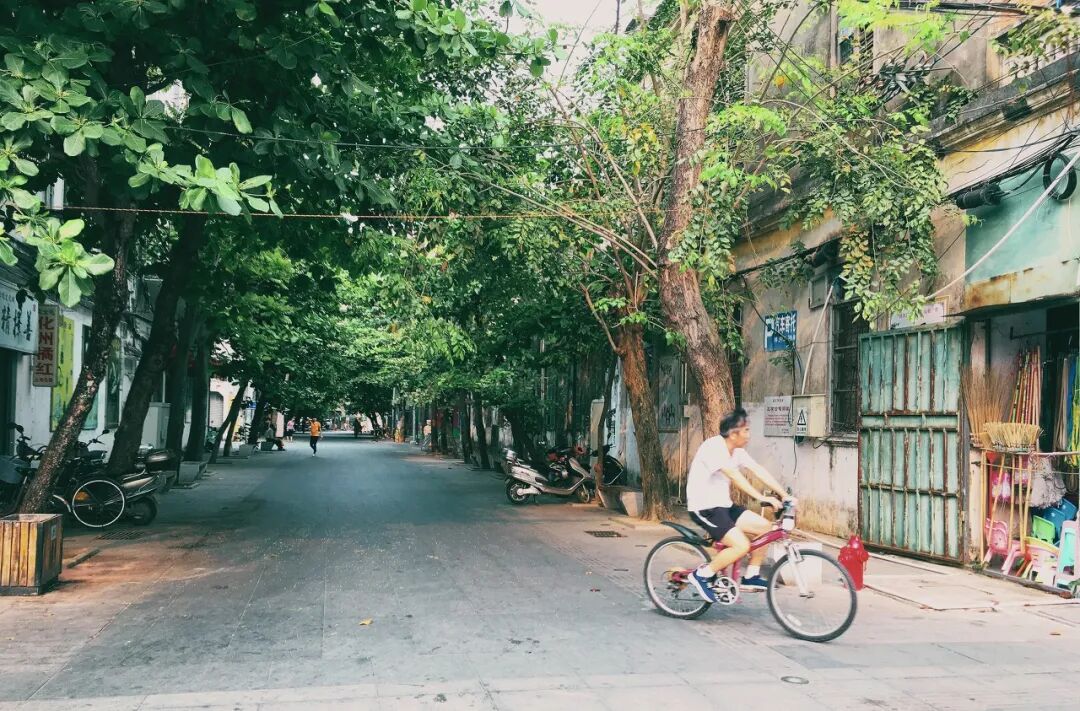 Image related to Zhanjiang: The Hidden Foodie Paradise Where $70 Buys 3 Days of Feasting – Wild Flavors Outshine Chaoshan, Gaining 8 Pounds in a Week is Worth It!
