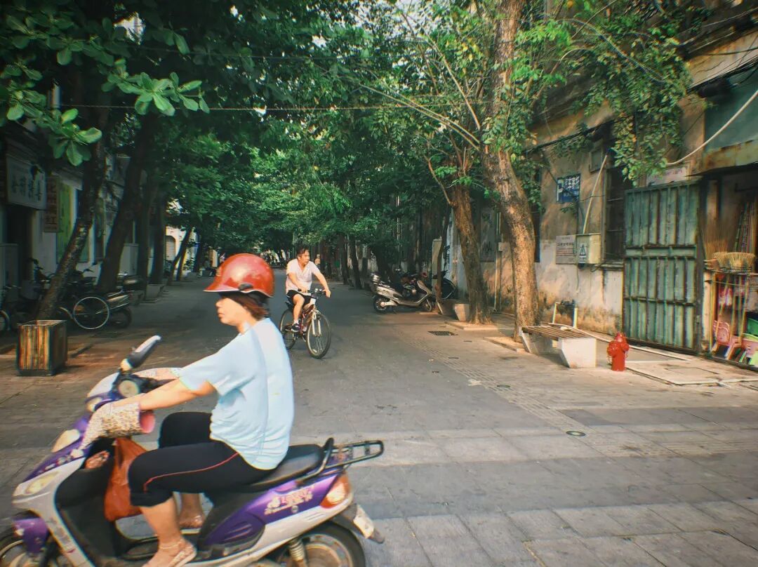 Image related to Zhanjiang: The Hidden Foodie Paradise Where $70 Buys 3 Days of Feasting – Wild Flavors Outshine Chaoshan, Gaining 8 Pounds in a Week is Worth It!