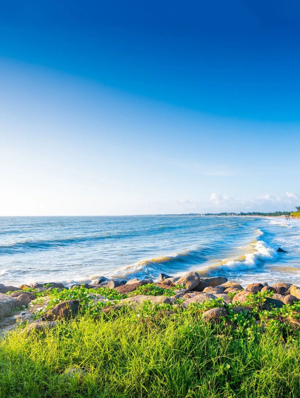 Image related to Zhanjiang: The Hidden Foodie Paradise Where $70 Buys 3 Days of Feasting – Wild Flavors Outshine Chaoshan, Gaining 8 Pounds in a Week is Worth It!