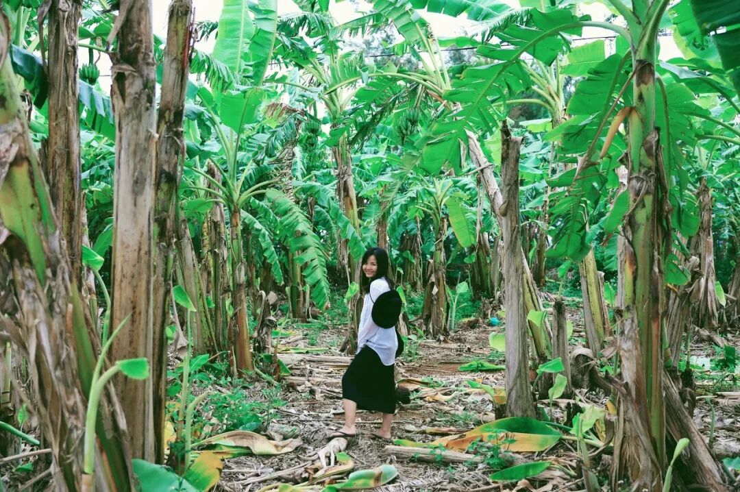 Image related to Zhanjiang: The Hidden Foodie Paradise Where $70 Buys 3 Days of Feasting – Wild Flavors Outshine Chaoshan, Gaining 8 Pounds in a Week is Worth It!