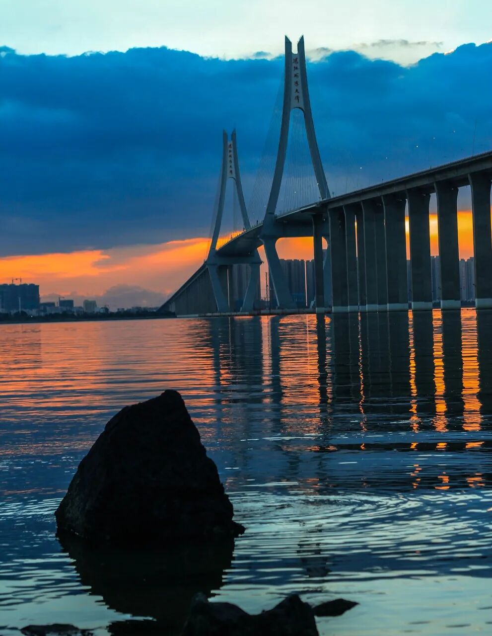 Image related to Zhanjiang: The Hidden Foodie Paradise Where $70 Buys 3 Days of Feasting – Wild Flavors Outshine Chaoshan, Gaining 8 Pounds in a Week is Worth It!