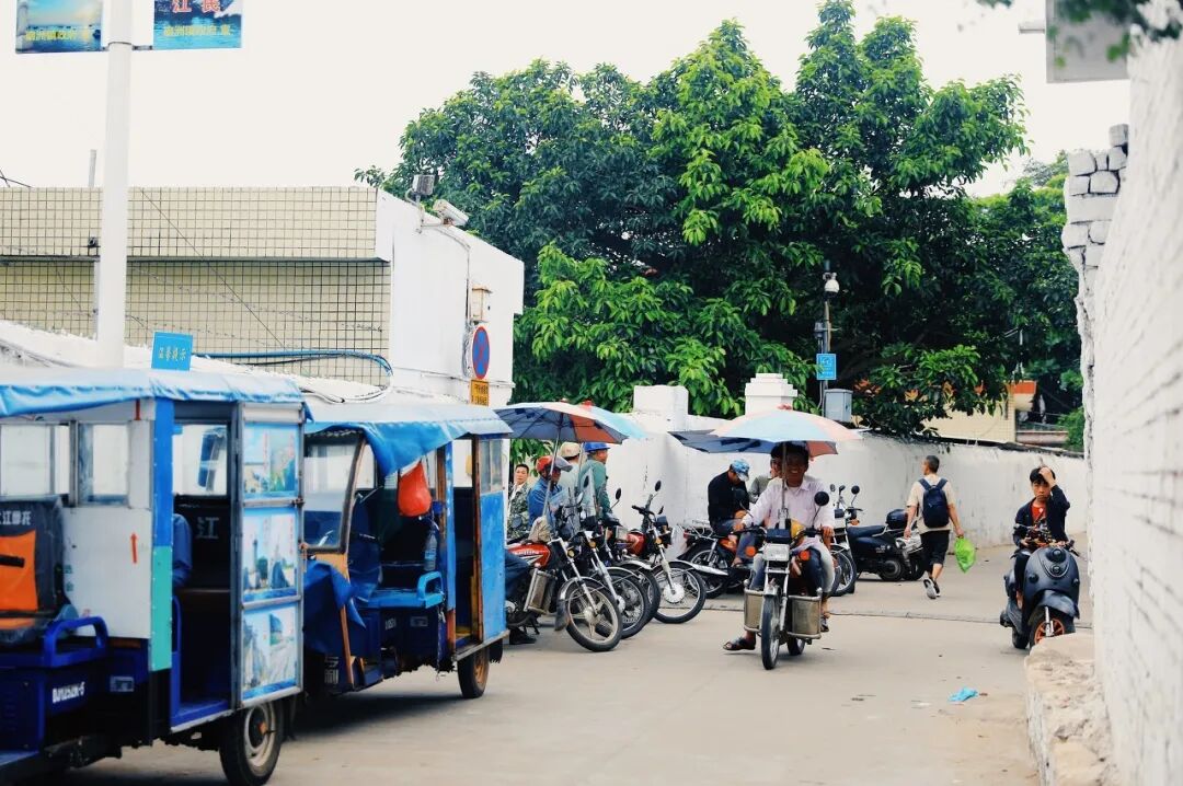 Image related to Zhanjiang: The Hidden Foodie Paradise Where $70 Buys 3 Days of Feasting – Wild Flavors Outshine Chaoshan, Gaining 8 Pounds in a Week is Worth It!