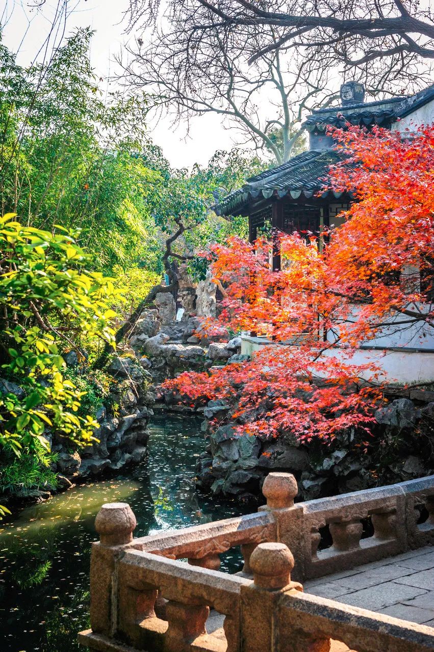 Image related to Suzhou in Verse: China's Most Serene Ancient City for Autumn Bliss