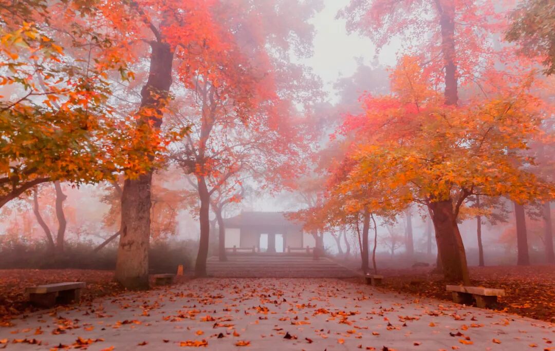 Image related to Suzhou in Verse: China's Most Serene Ancient City for Autumn Bliss