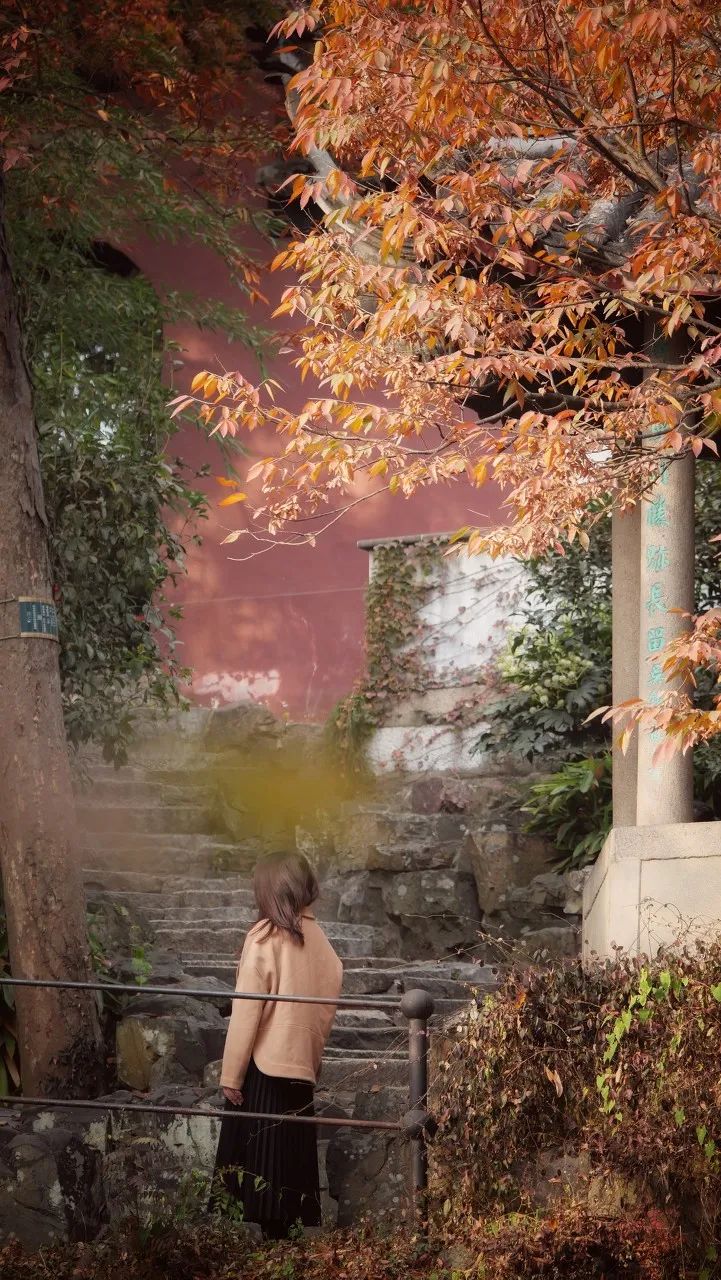 Image related to Suzhou in Verse: China's Most Serene Ancient City for Autumn Bliss