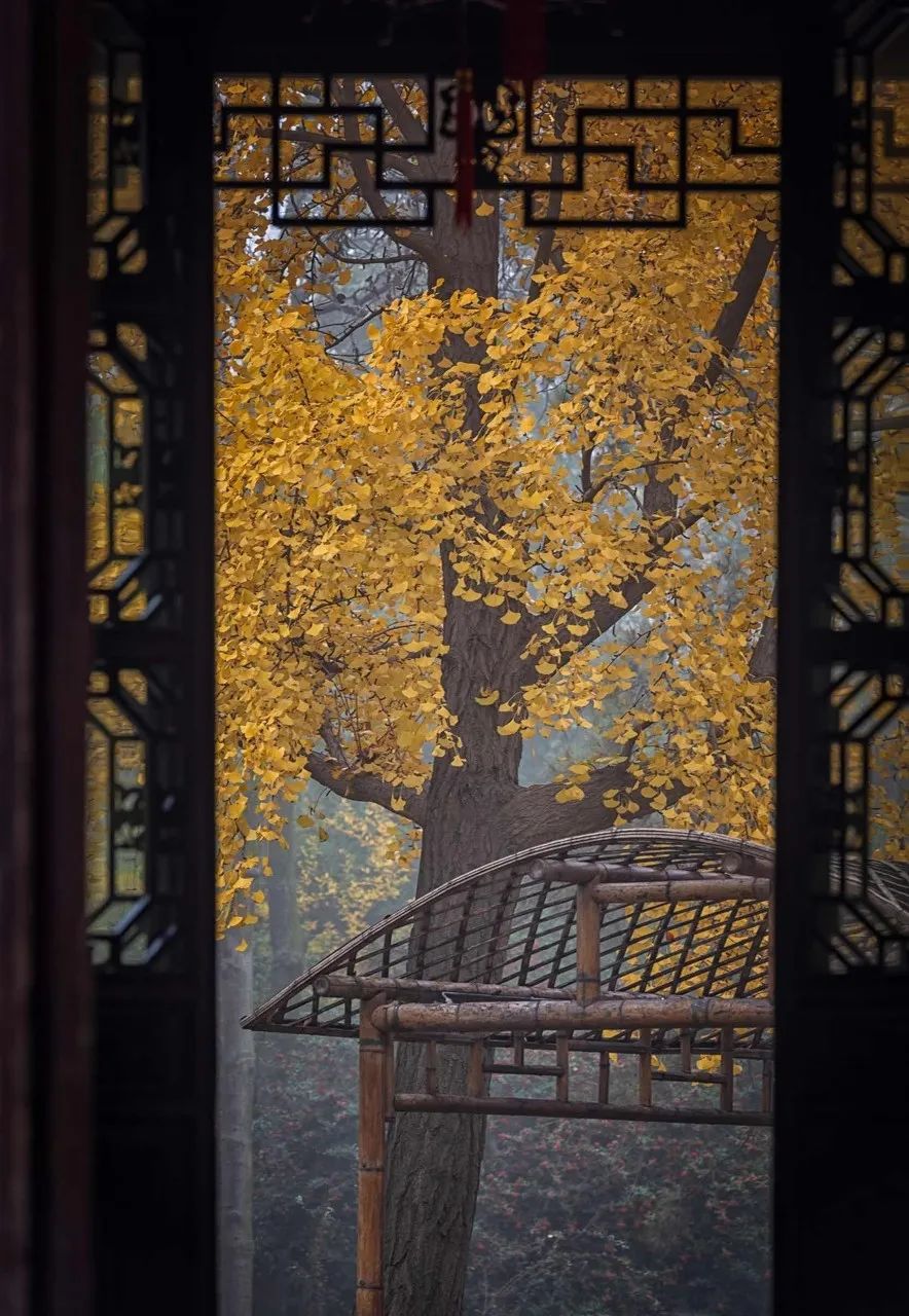 Image related to Suzhou in Verse: China's Most Serene Ancient City for Autumn Bliss