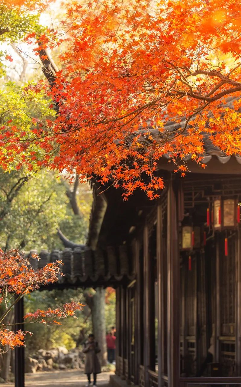 Image related to Suzhou in Verse: China's Most Serene Ancient City for Autumn Bliss